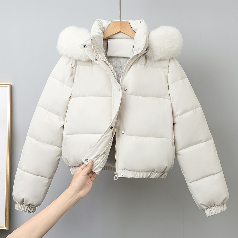 Parkas courts d'hiver pour fem - Wool Coat Peacoat avis et prix